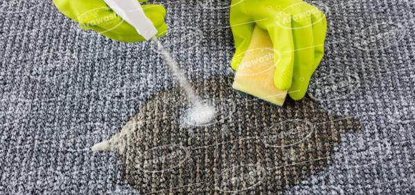  Where to find and buy carpet cleaner